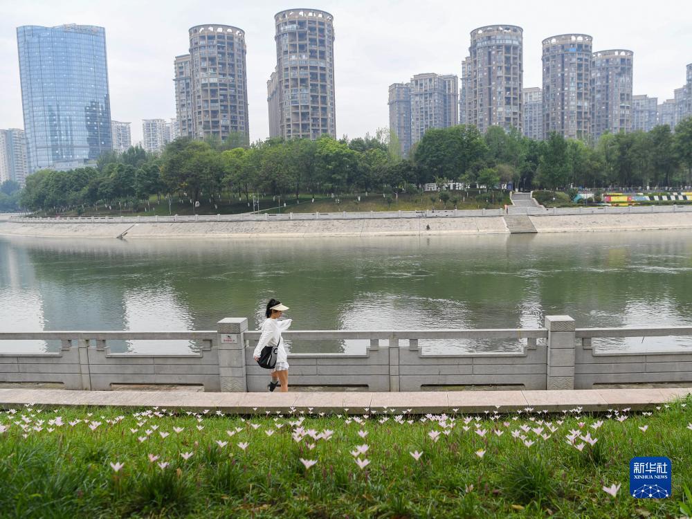 bv伟德下载